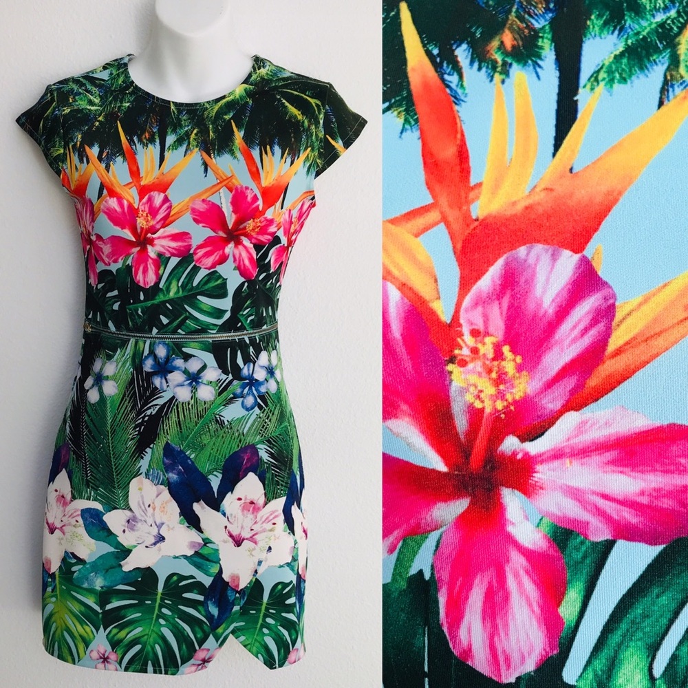 DIVIDED H & M Fab TROPICAL Bird of Paradise and Palm Print Bodycon MINI DRESS XS